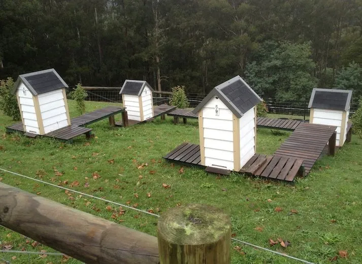 Custom timber huts on the lawn