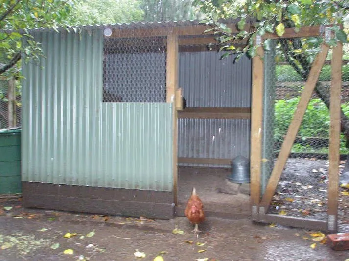 Chicken coop