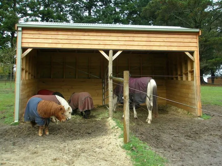 Pony shelter with feed rail