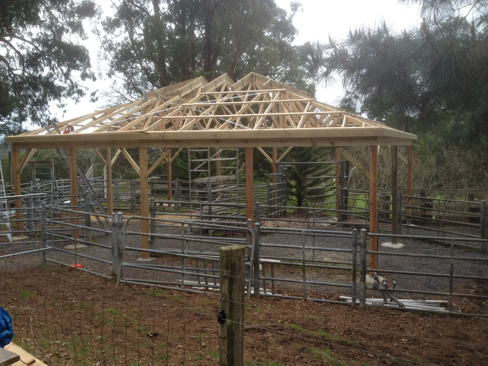 Horse yards shelter roof framing